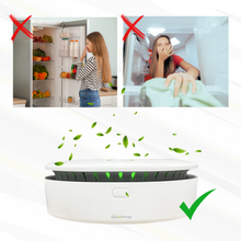 Lade das Bild in den Galerie-Viewer, FreshAir - das Original - Ozon Geruchsentferner gegen Rauch, Tiergeruch oder Gestank