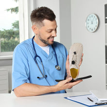 Lade das Bild in den Galerie-Viewer, FreeStep – Gesunde & rutschfeste Barfußschuhe für Schwangerschaft & Nachgeburt